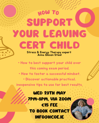 How to support your leaving cert child